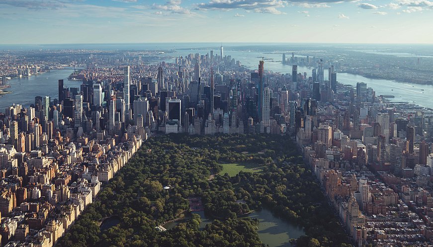 New York City Vehicle Emissions Get Absorbed By Its Greenery On Many Summer Days, Study Finds