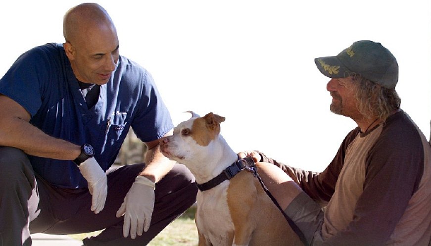 Volunteer Vets Across The US Provide Medical Care For Pets Of The Unhoused